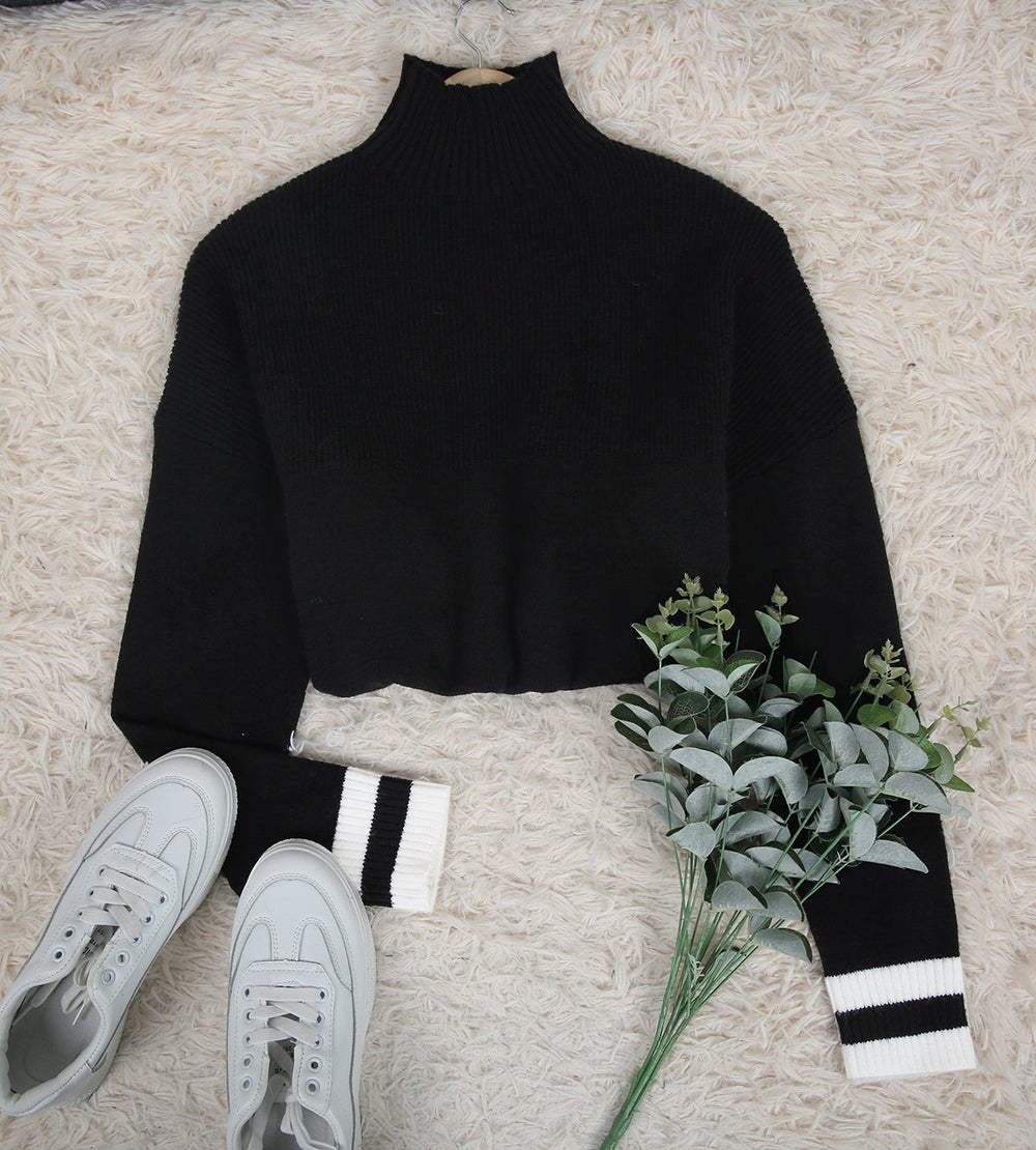 Casual High Neck Long Sleeve Sweater