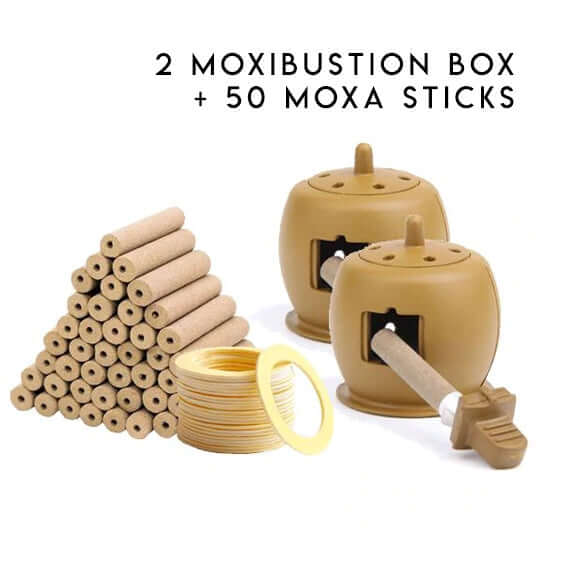 Moxa Cupping Acupuncture Detox Set